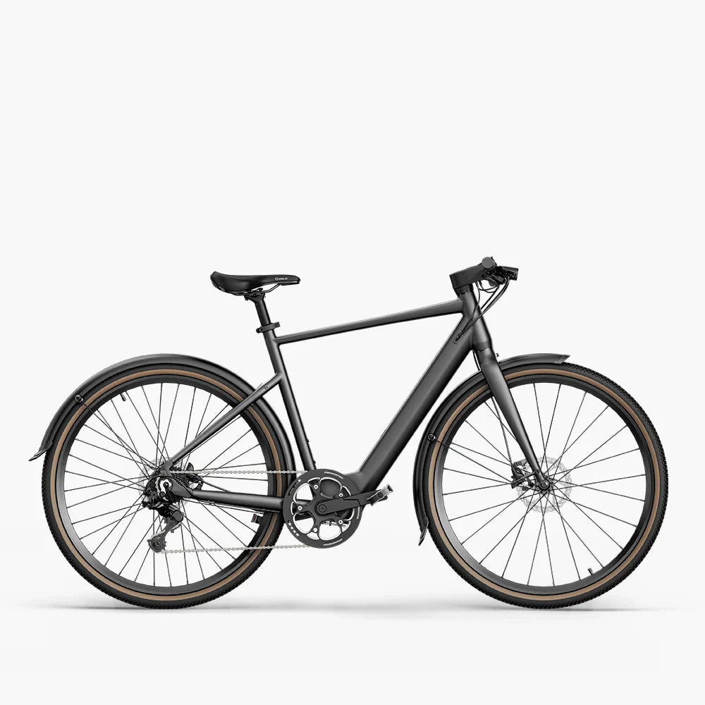 Fiido C21 Gravel City E-Bike