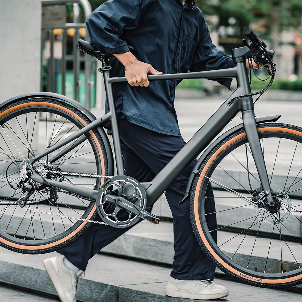 Fiido C21 Gravel City E-Bike