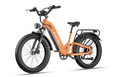 Gravita LS E-bike