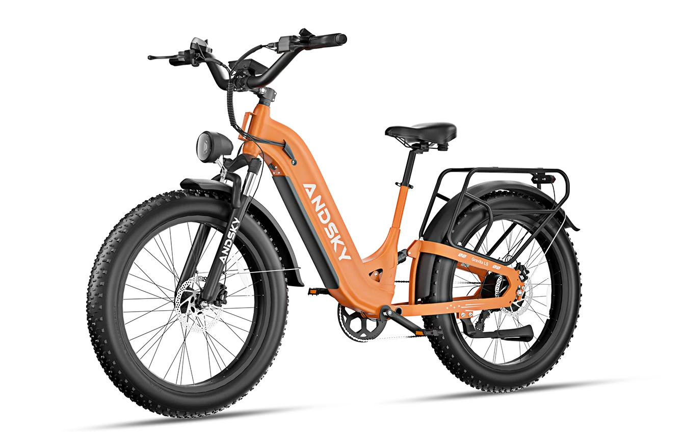 Gravita LS E-bike