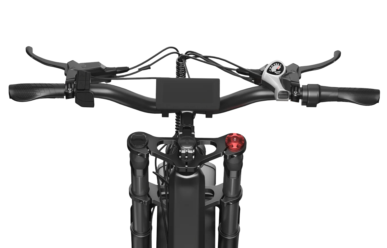 Forge 26 E-bike