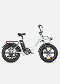 ENGWE L20 Step-Thru E-bike