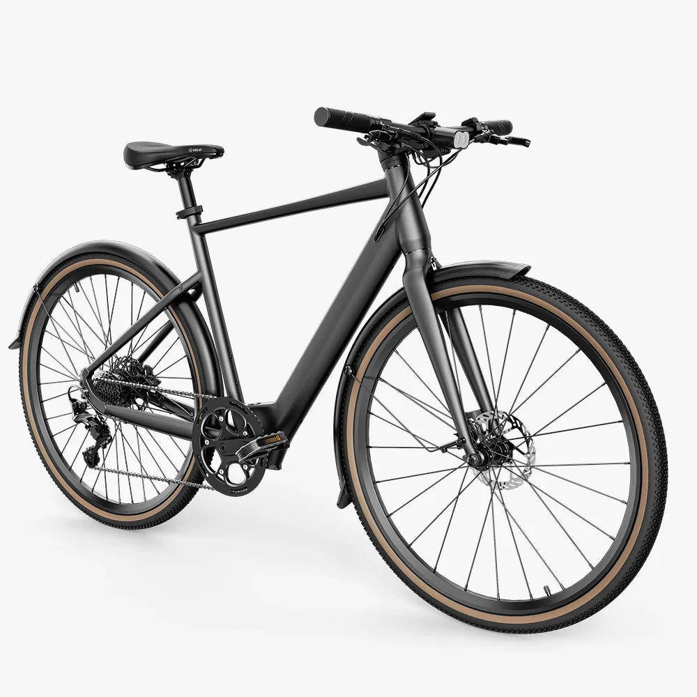 Fiido C21 Gravel City E-Bike
