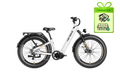 ALPHA E-bike