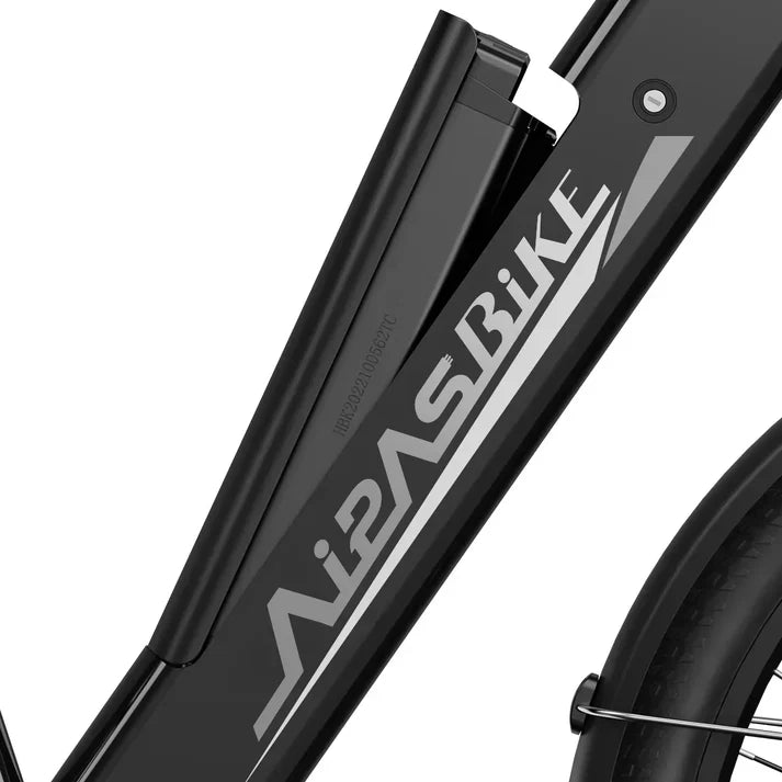 C1 Xpress ST Ebike