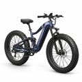 Boxer Ebike