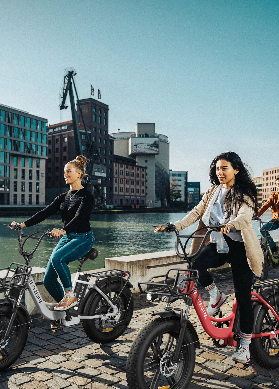 ENGWE L20 Step-Thru E-bike
