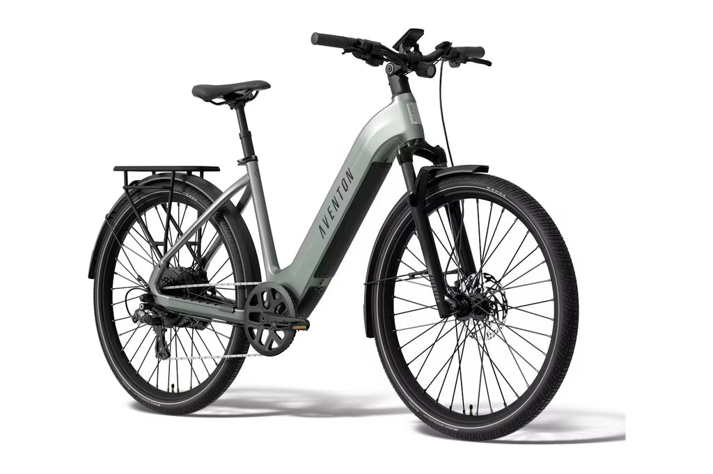 Level 4 REC Step-Through Ebike