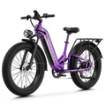 M1 Pro Xterrain ST Ebike