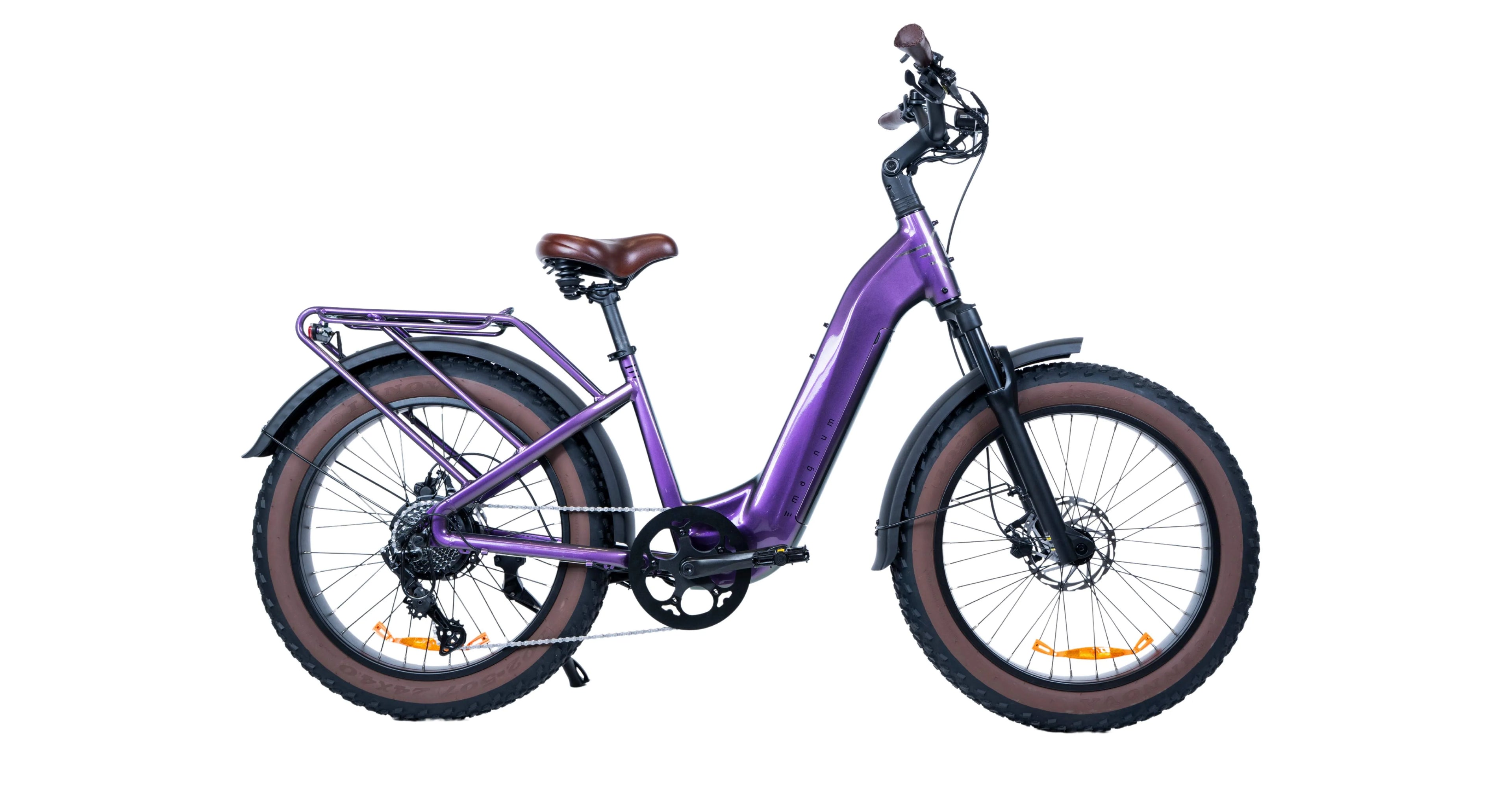 Bliss E-bike