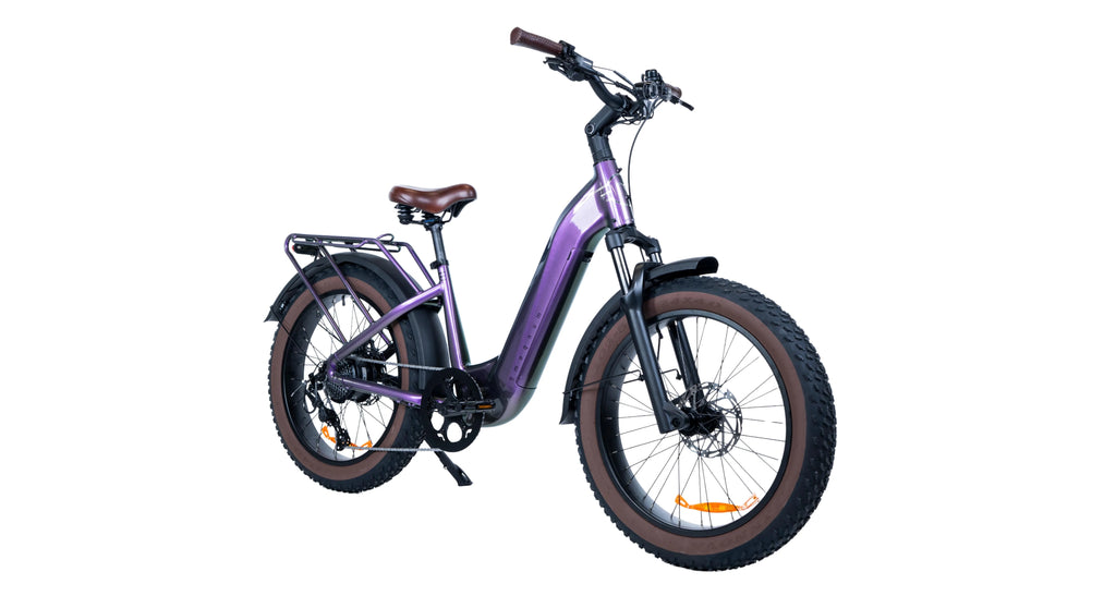 Bliss E-bike