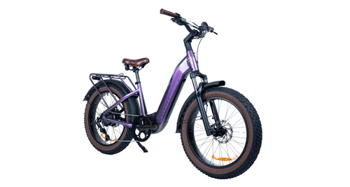 Bliss E-bike