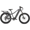 Ranger XR E-bike