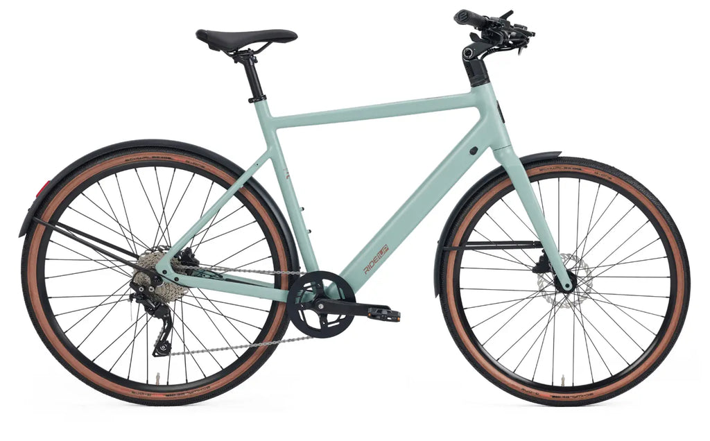 Roadster v3 Lightweight premium E-bike