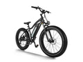 HIMIWAY Cruiser D3 750 w Step Over Ebike 26x4 Fat Fat Tire Electric Beach Cruiser eBike
