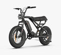 RAEV Bullet X Emoto eBike – 750W Electric Bike
