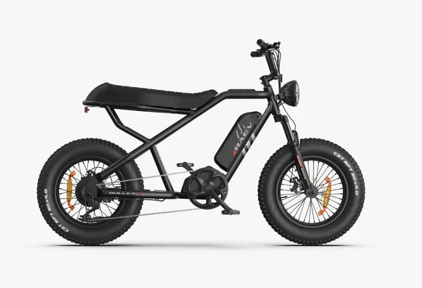 RAEV Bullet X Emoto eBike – 750W Electric Bike