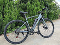FREEGO E7 Electric Town eBike-Step Over 250w Electric Communter eBike