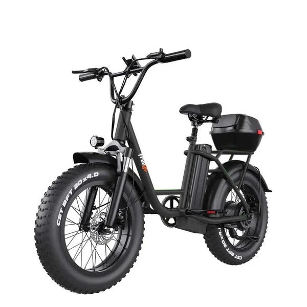 FREEGO Electric Cargo eBike FB-20X Step-thru-Step Thru 750 w Electric Communter eBike