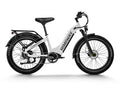 HIMIWAY Zebra ST 750 w Step Thru Ebike 26x4 Fat Electric Fat Tire Mountain eBike