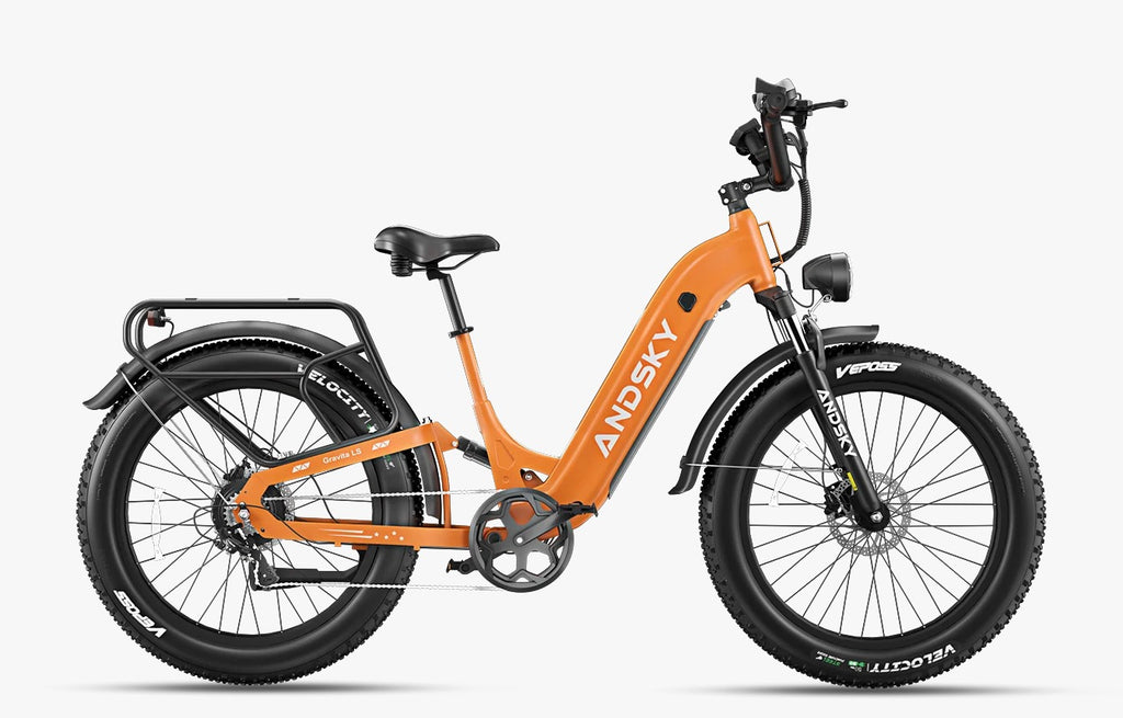 Gravita LS E-bike