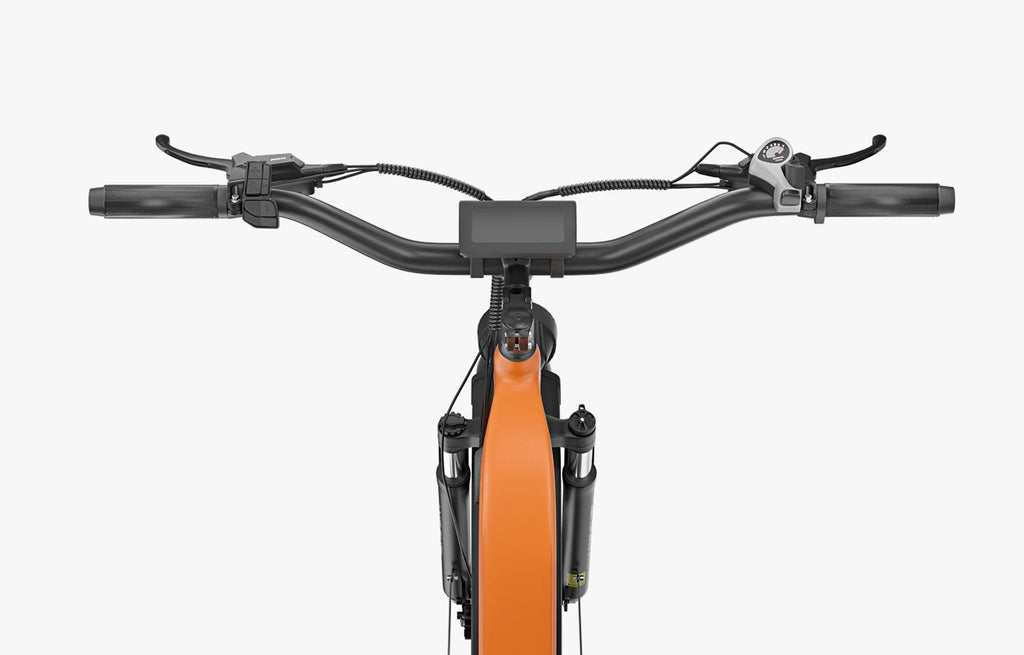 Gravita LS E-bike