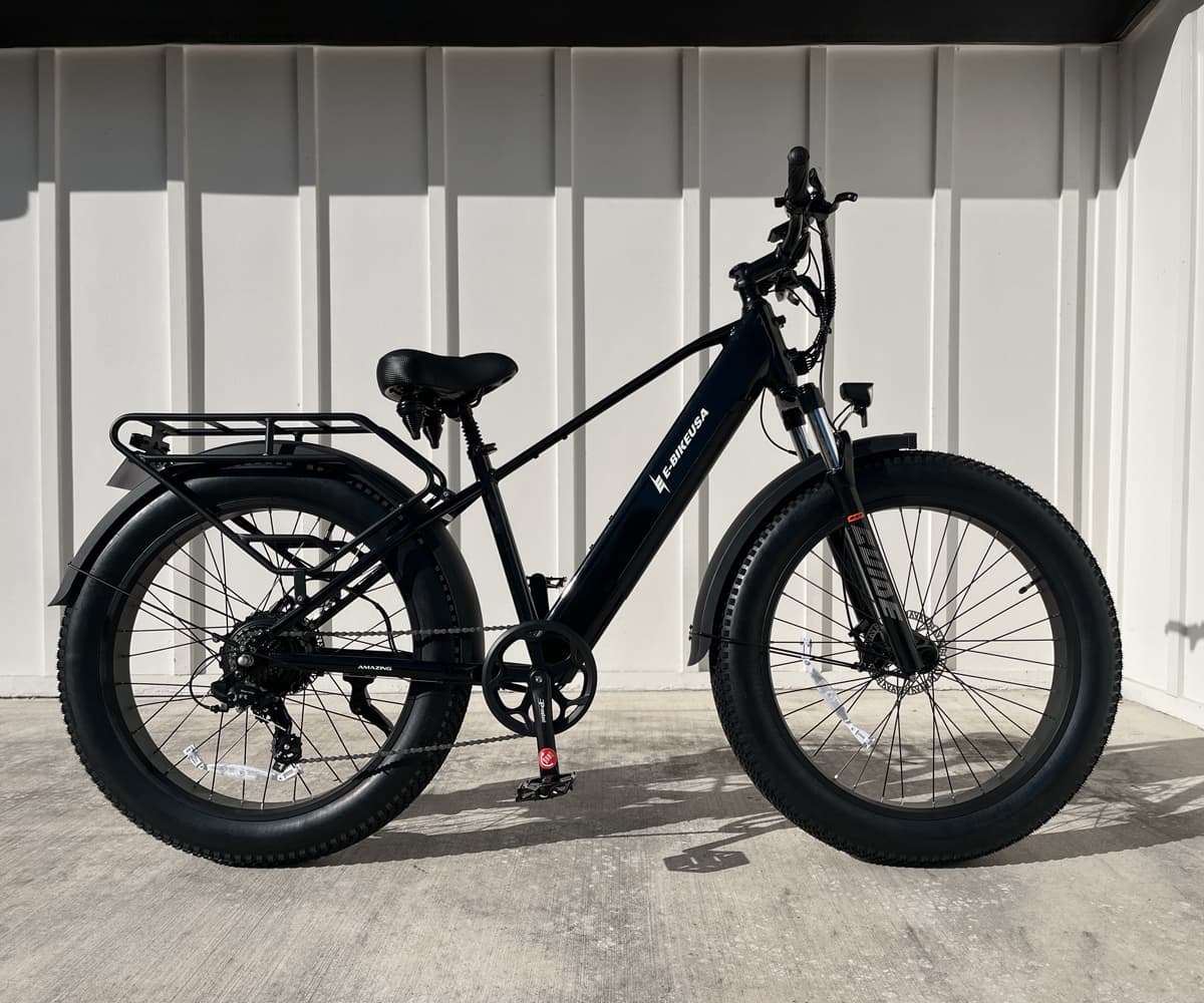 Amazing M Riders E-bike
