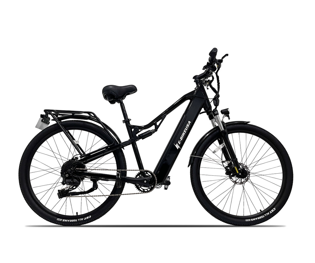 Dynamic Versatile e-bike