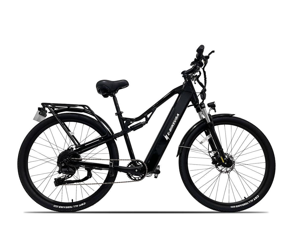 Dynamic Versatile e-bike