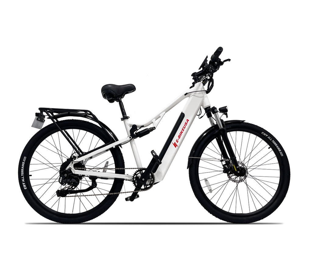 Dynamic Versatile e-bike