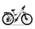 Dynamic Versatile e-bike