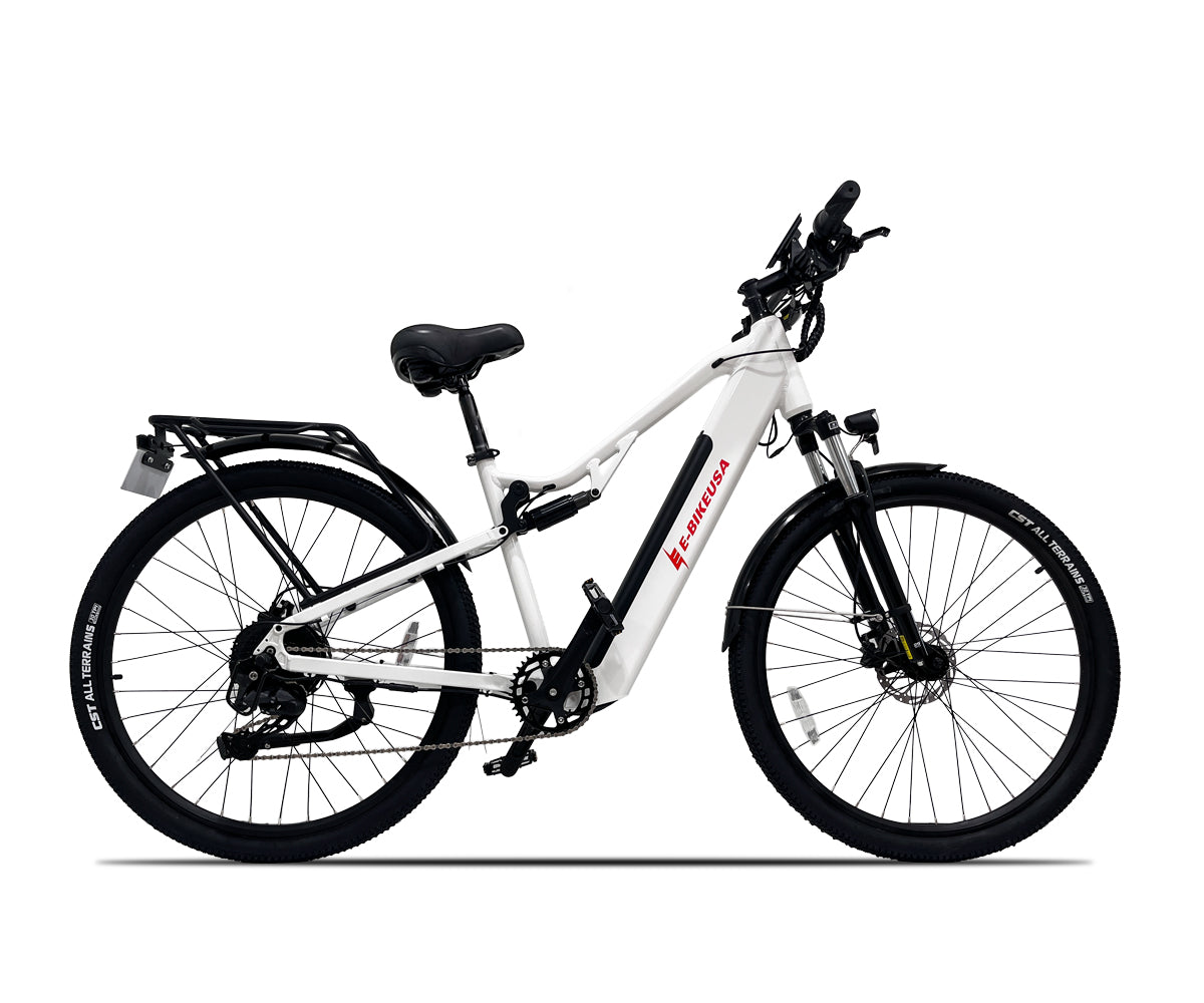 Dynamic Versatile e-bike