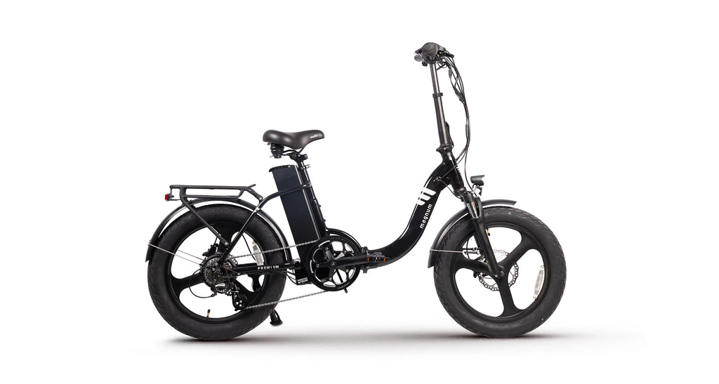 Premium 3 Torque LS E-bike