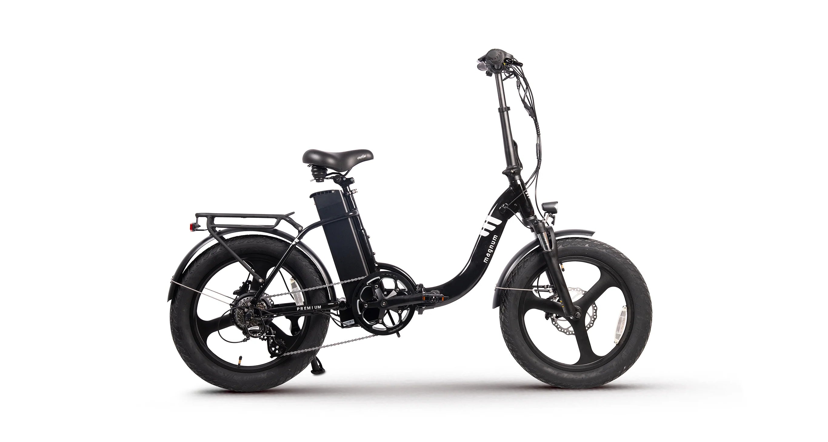Premium 3 Torque LS E-bike