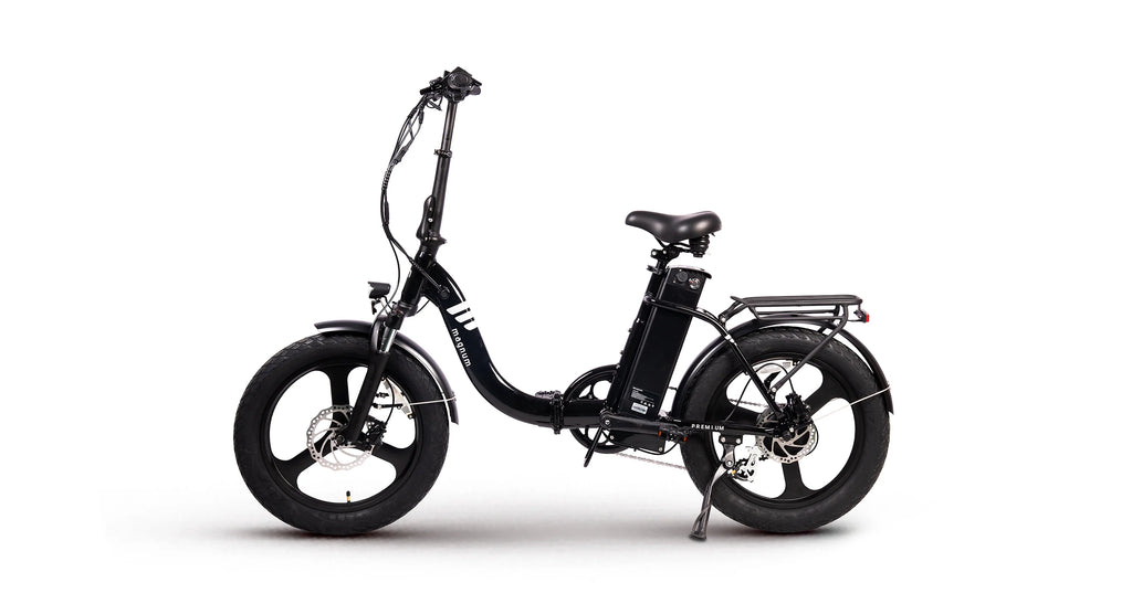 Premium 3 Torque LS E-bike